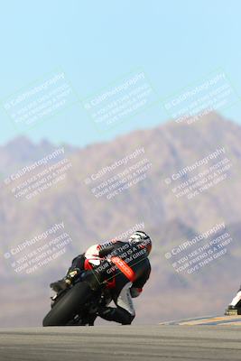 media/Jan-13-2024-SoCal Trackdays (Sat) [[9c032fe5aa]]/Turn 9 Backside (110pm)/